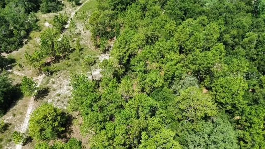 4026 N Orange Blossom Trail Mount Dora FL 32757