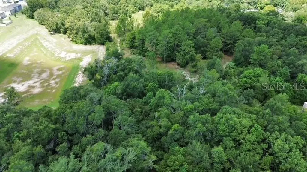 4026 N Orange Blossom Trail Mount Dora FL 32757
