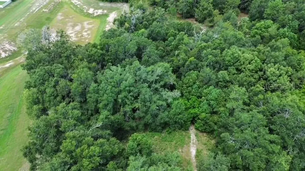 4026 N Orange Blossom Trail Mount Dora FL 32757