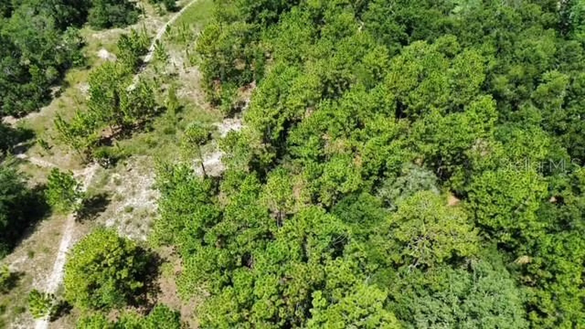4026 N Orange Blossom Trail Mount Dora FL 32757