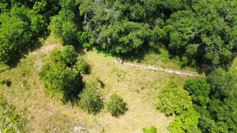 4026 N Orange Blossom Trail Mount Dora FL 32757