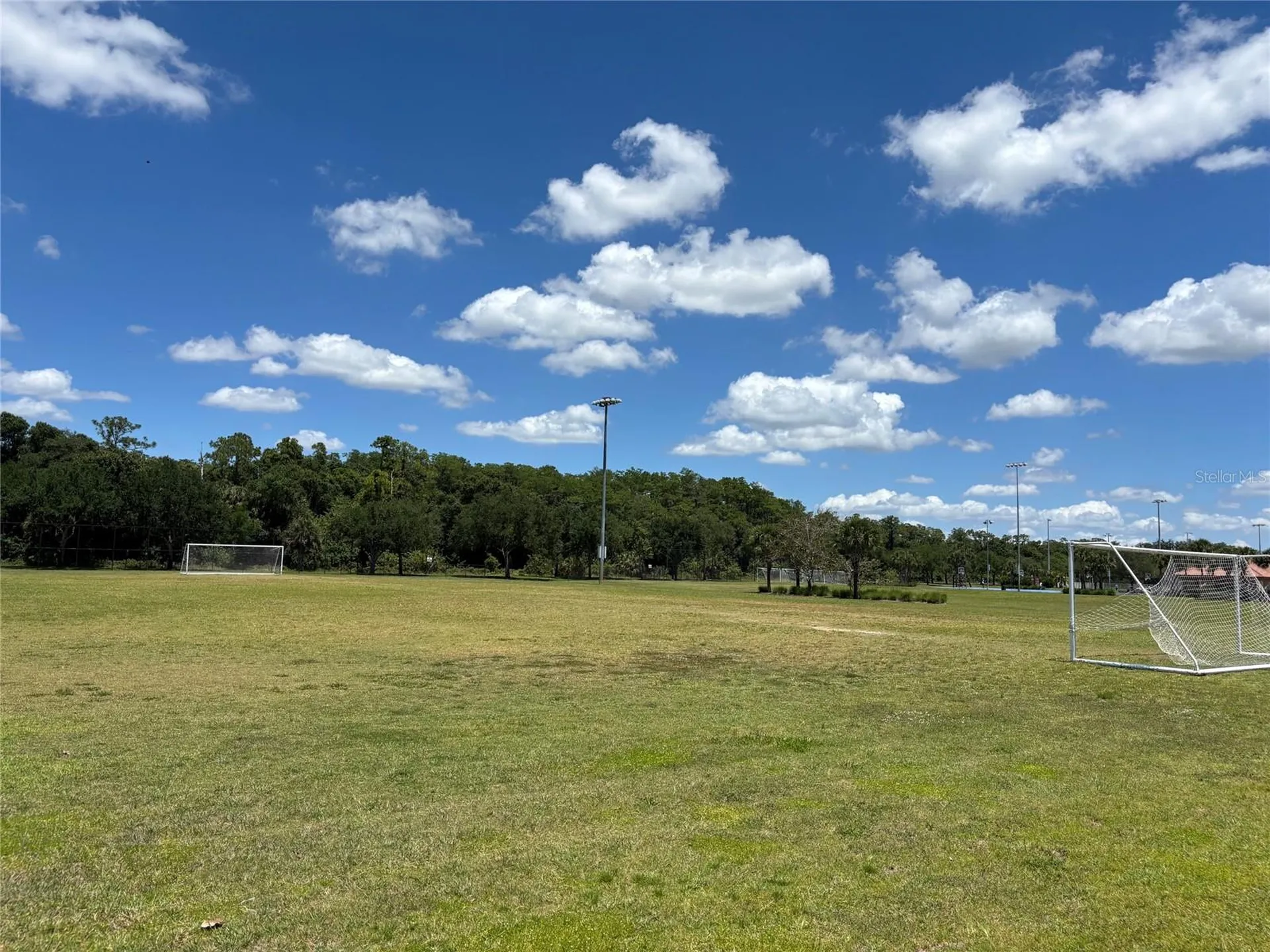 5868 Agostino Way Ave Maria FL 34142