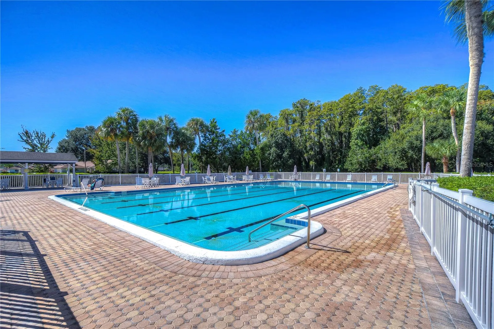 3439 Teeside Drive New Port Richey FL 34655