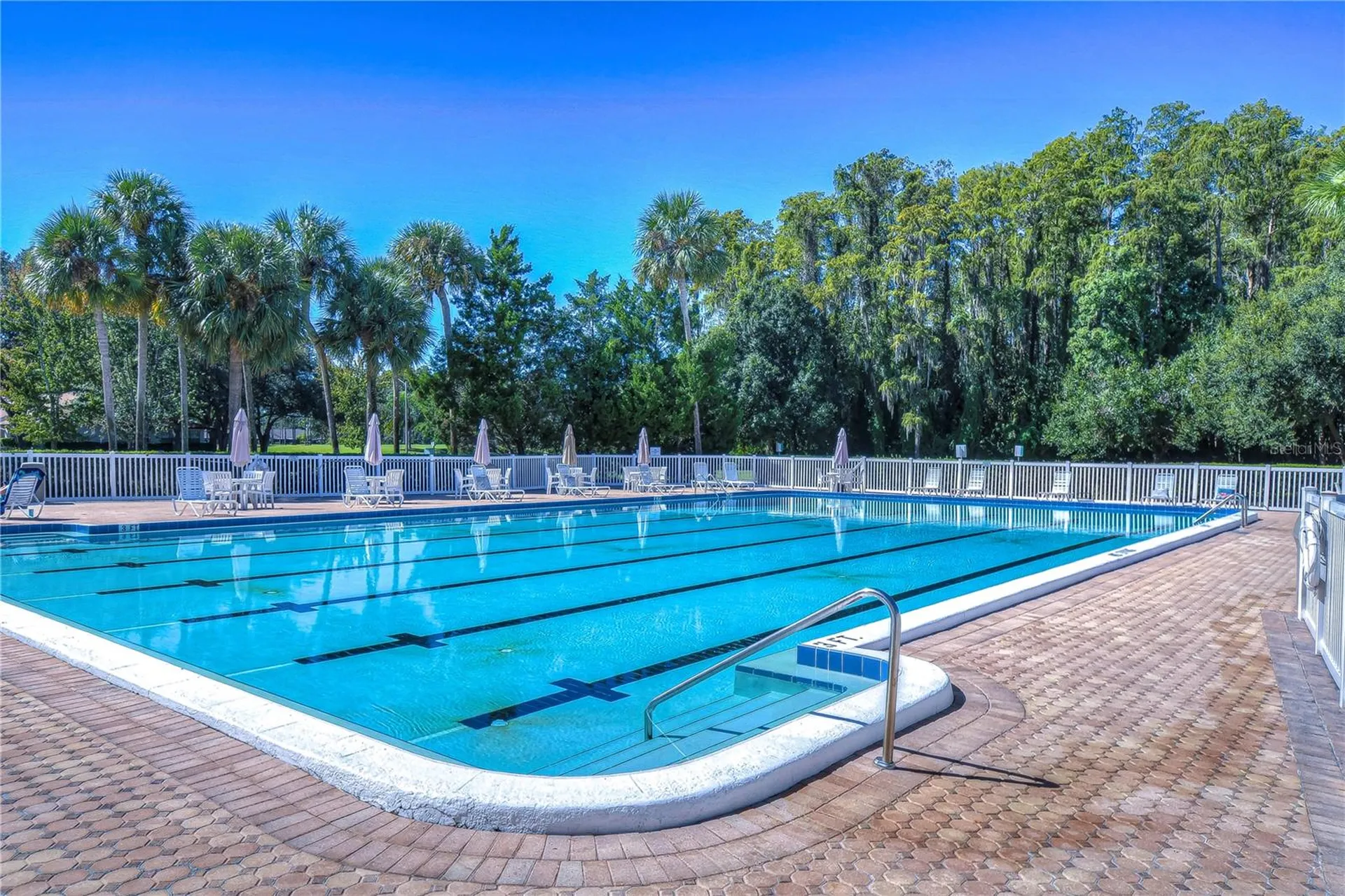 3439 Teeside Drive New Port Richey FL 34655