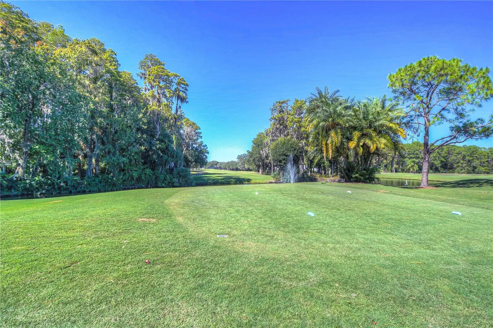 3439 Teeside Drive New Port Richey FL 34655