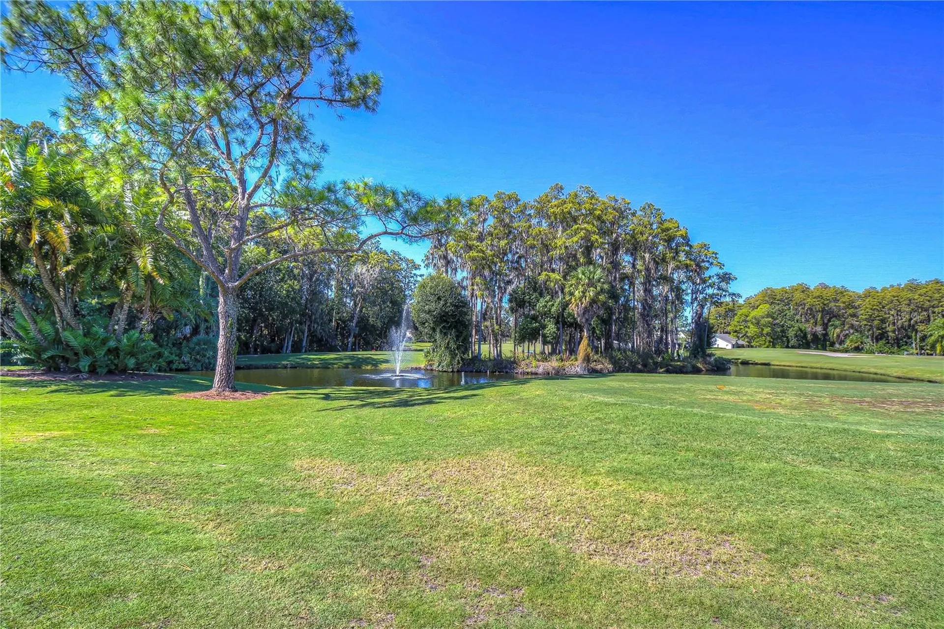 3439 Teeside Drive New Port Richey FL 34655