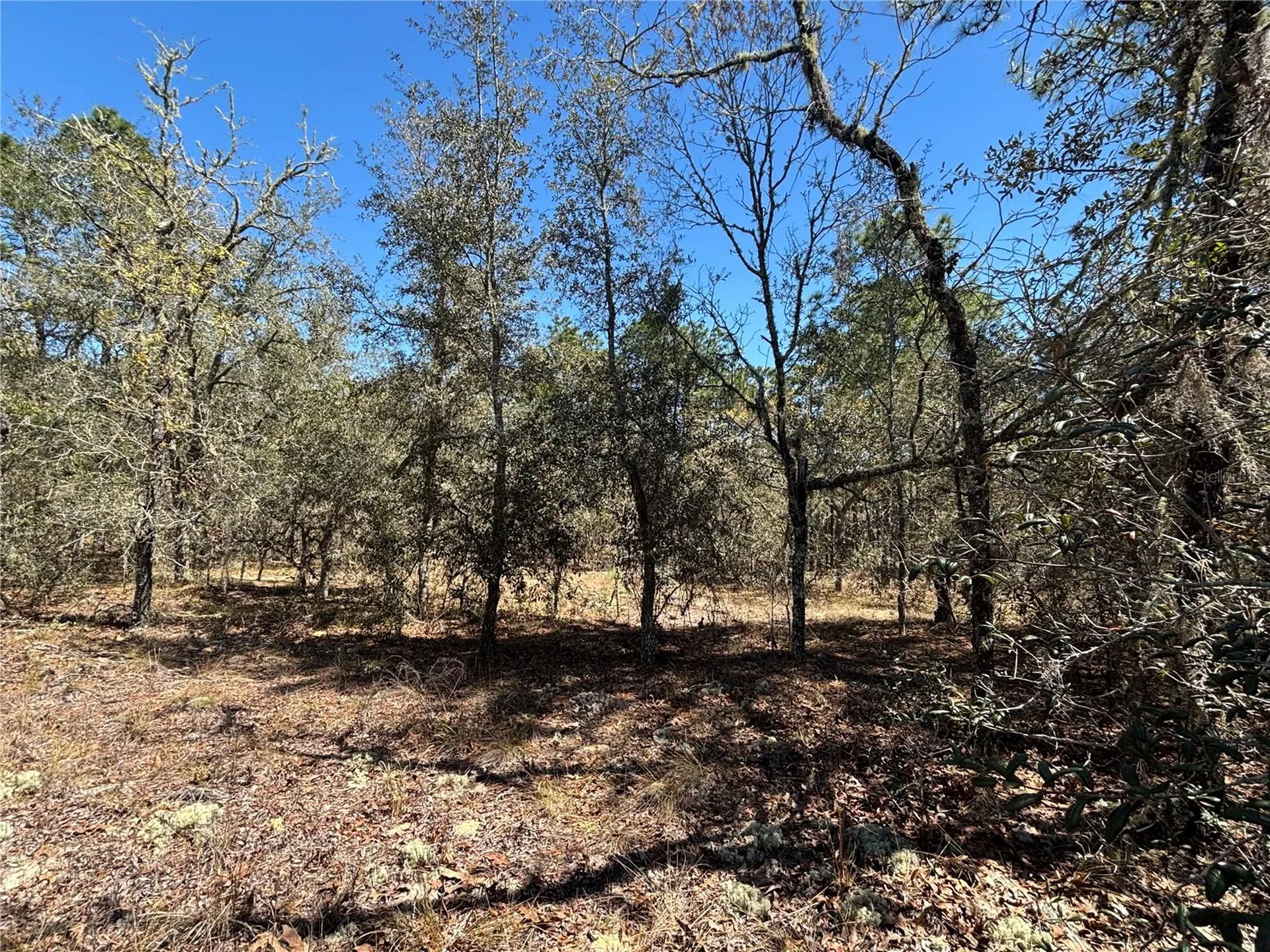 0000 SW Hillcrest Avenue Dunnellon FL 34431