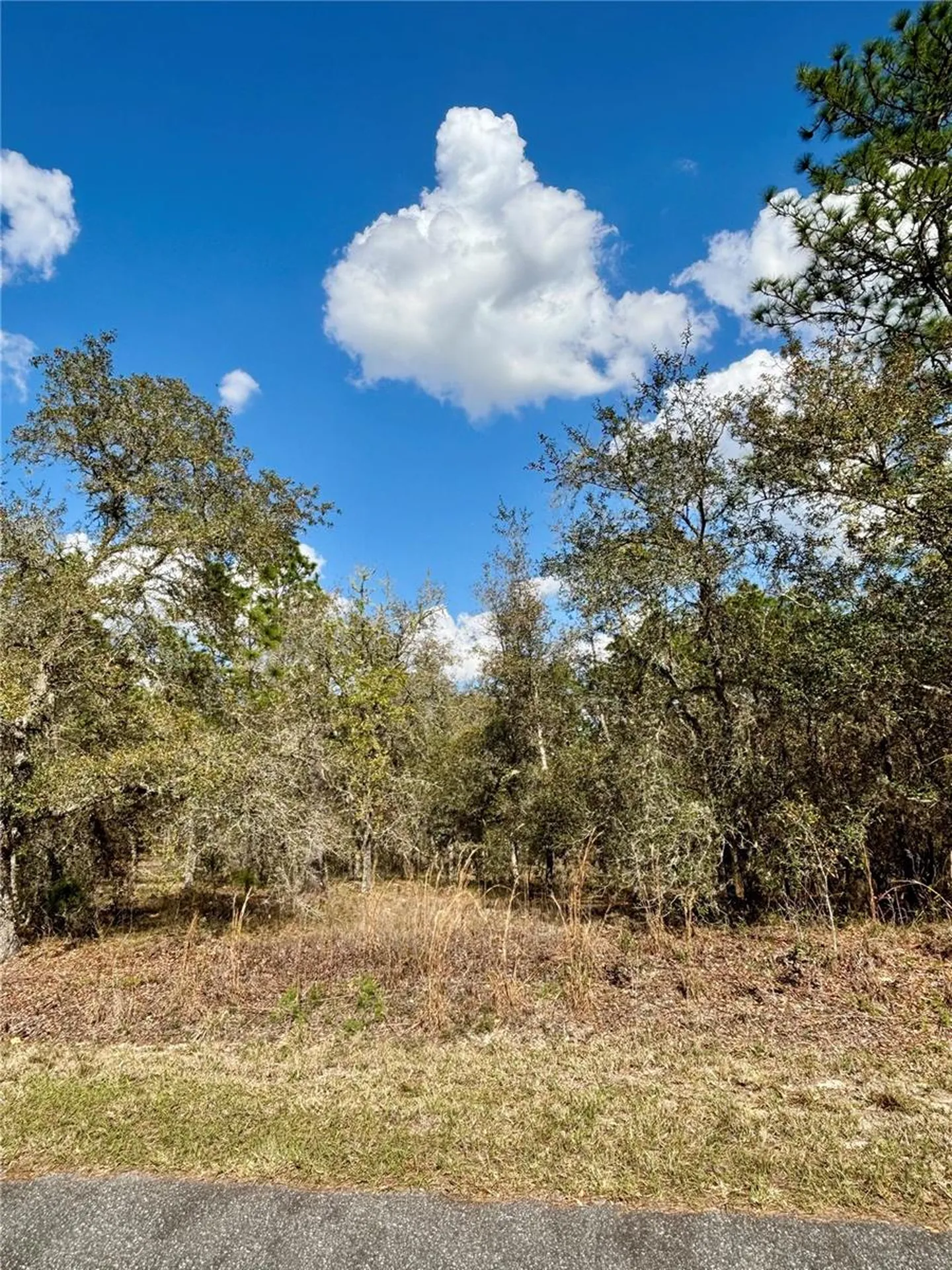 0000 SW Hillcrest Avenue Dunnellon FL 34431