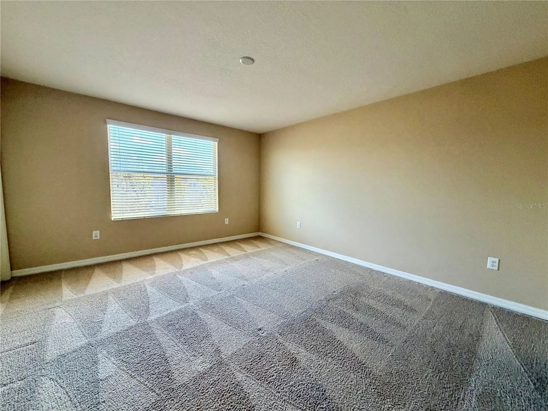 7020 Woodchase Glen Drive Riverview FL 33578