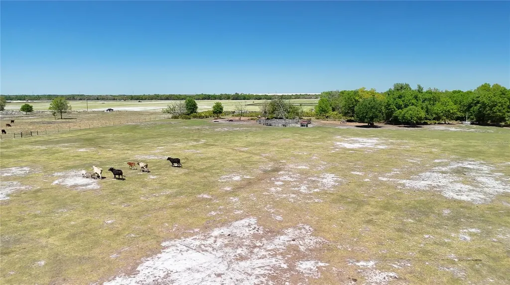 Avon Park Cutoff Road Fort Meade FL 33841
