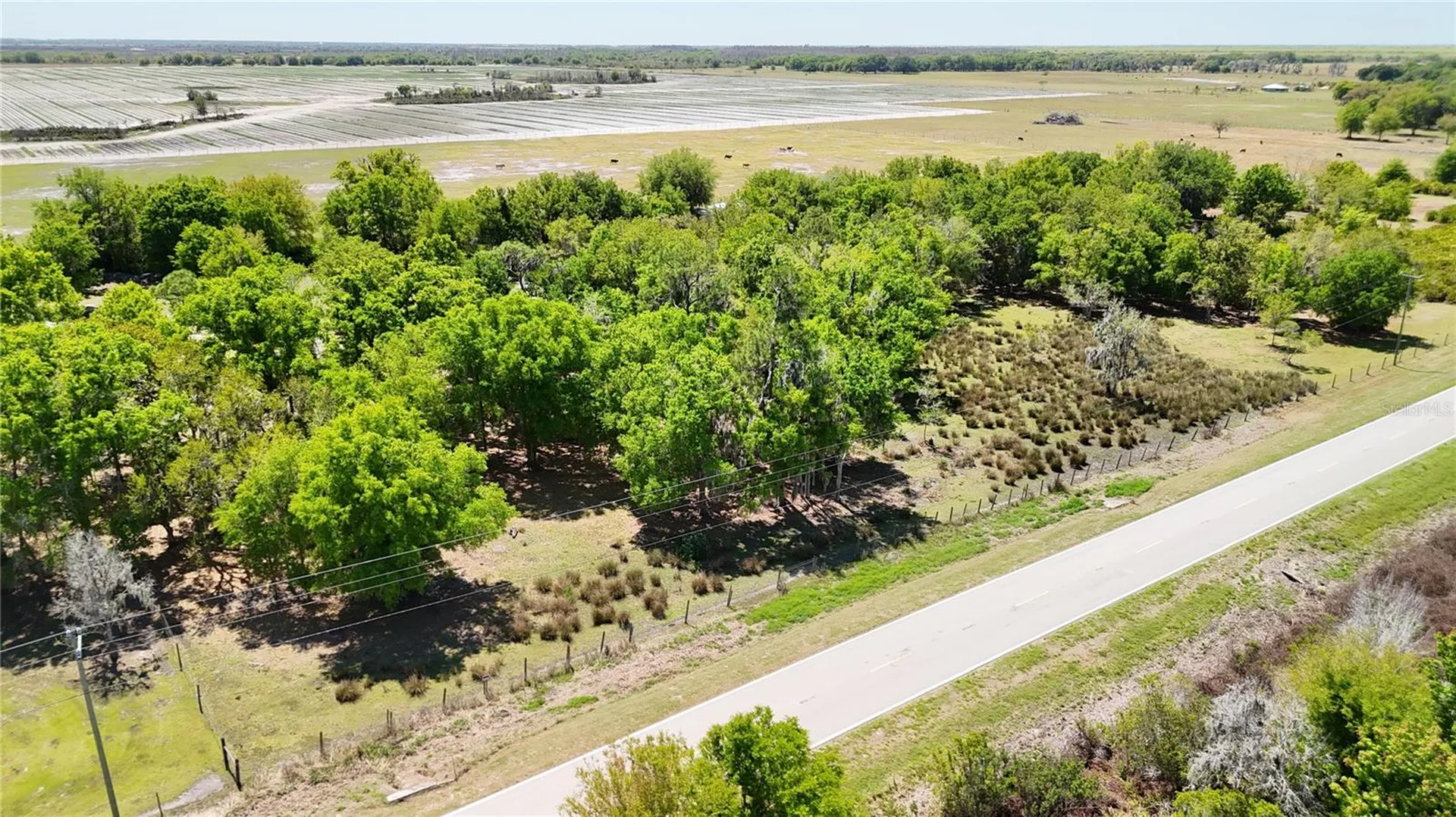 Avon Park Cutoff Road Fort Meade FL 33841