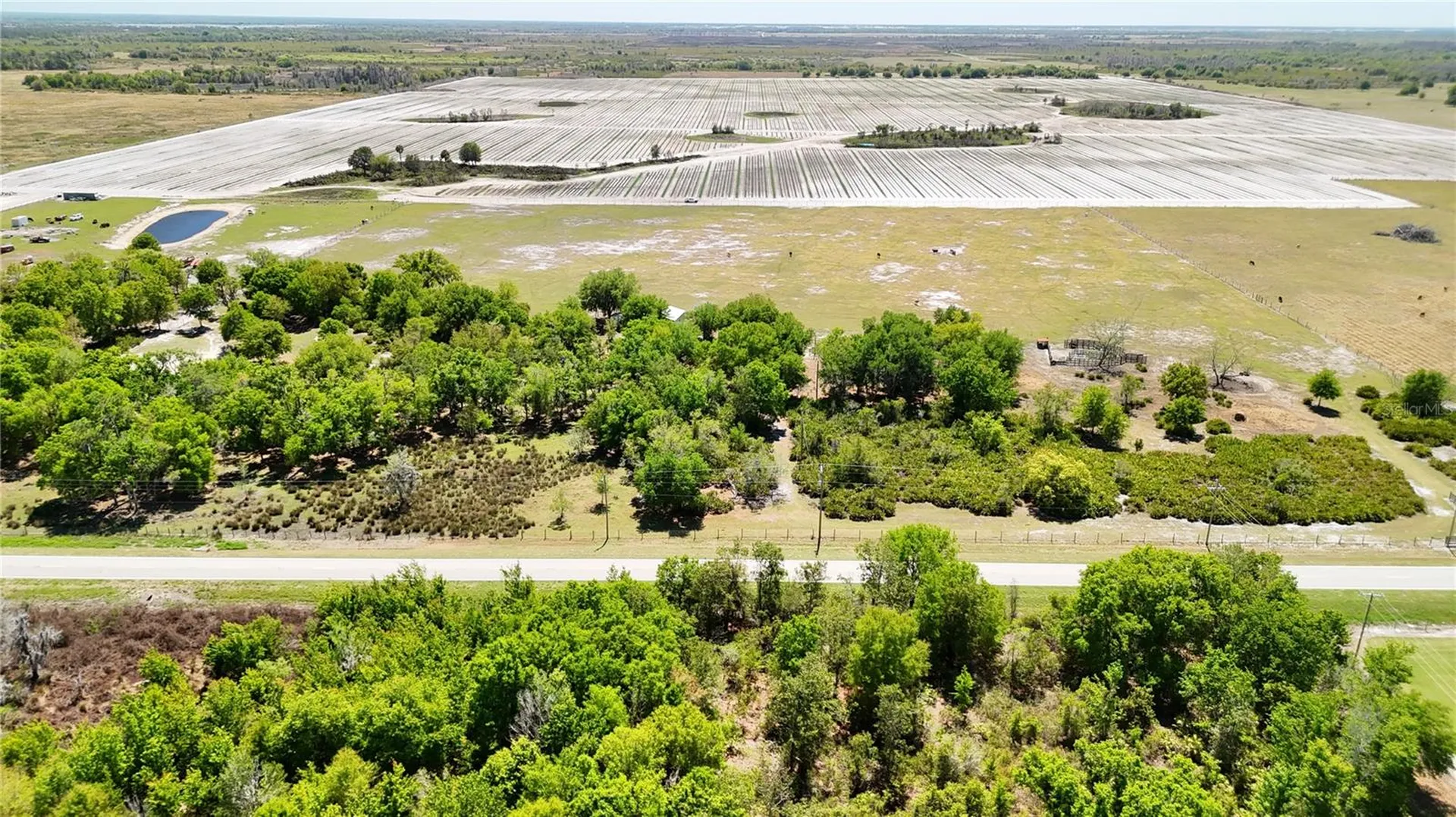 Avon Park Cutoff Road Fort Meade FL 33841