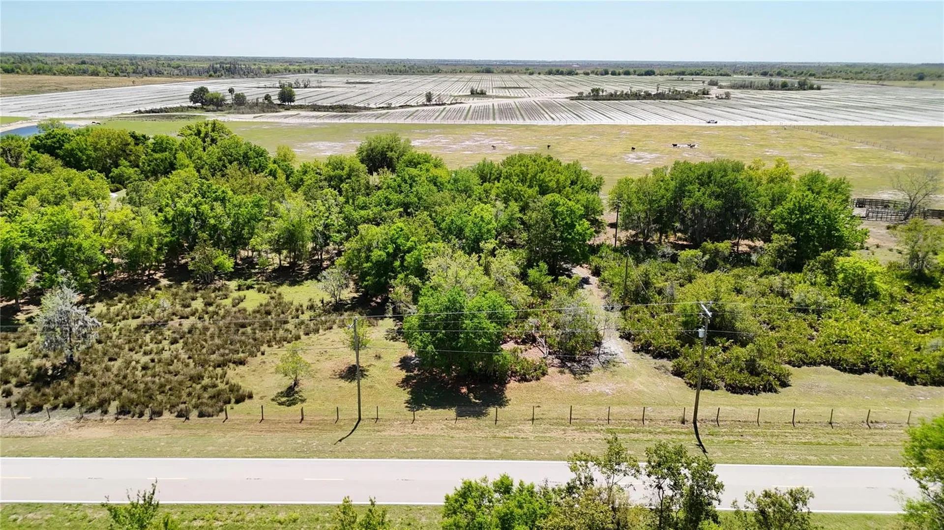 Avon Park Cutoff Road Fort Meade FL 33841