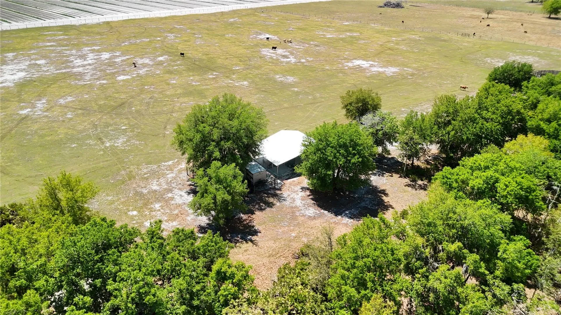 Avon Park Cutoff Road Fort Meade FL 33841
