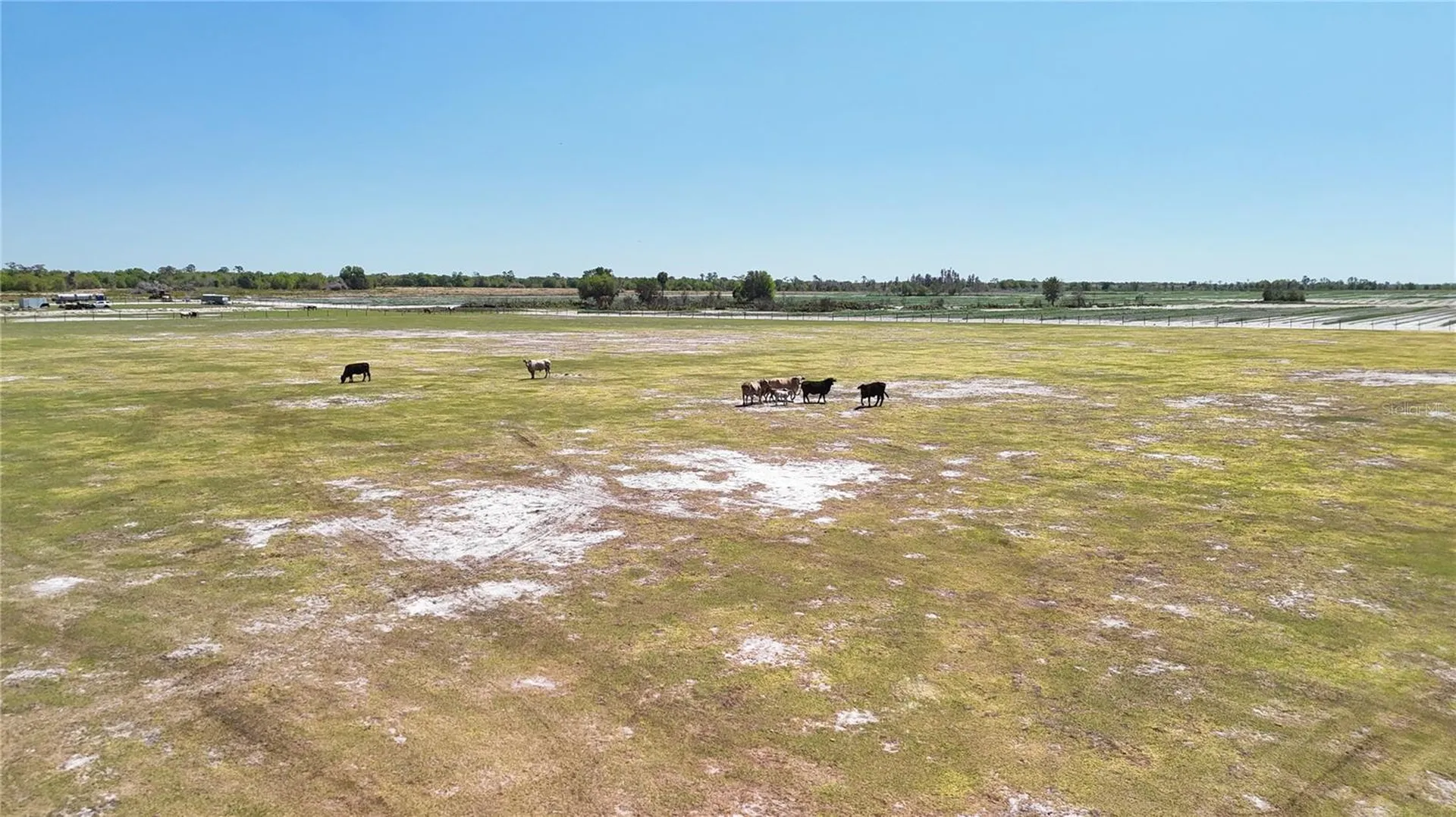 Avon Park Cutoff Road Fort Meade FL 33841
