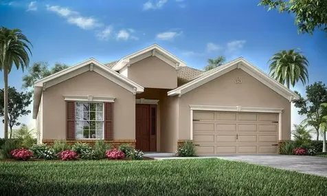 217 Dancing Dahlia Street Ruskin FL 33570