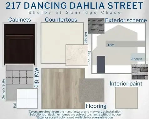 217 Dancing Dahlia Street Ruskin FL 33570