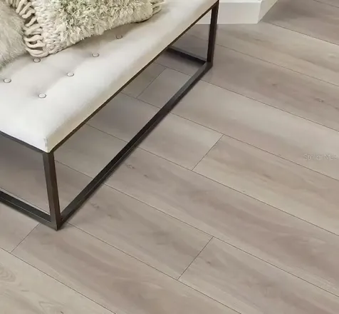 217 Dancing Dahlia Street Ruskin FL 33570