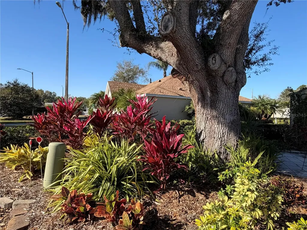 20300 Leonard Road Lutz FL 33558