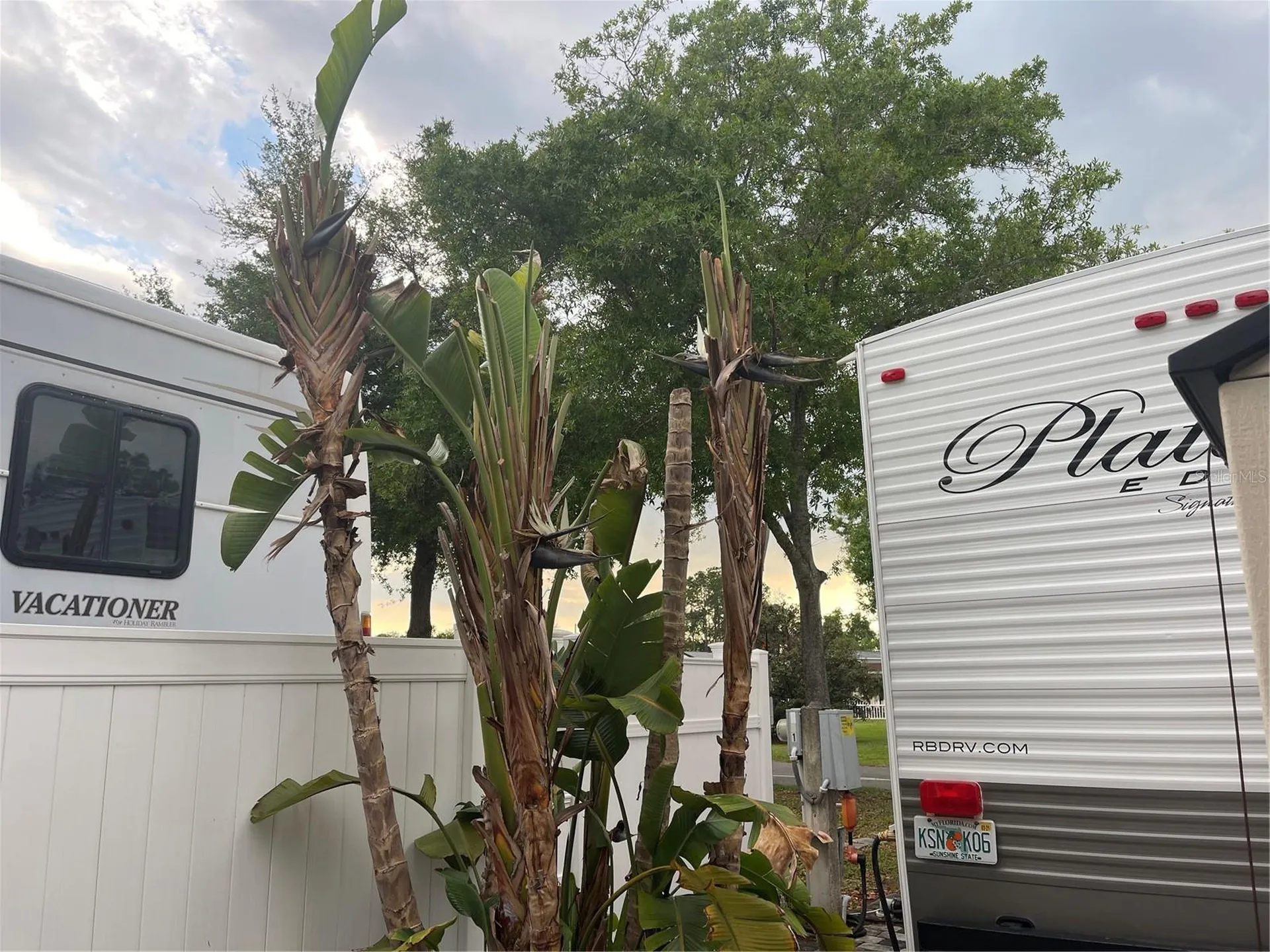 20300 Leonard Road Lutz FL 33558