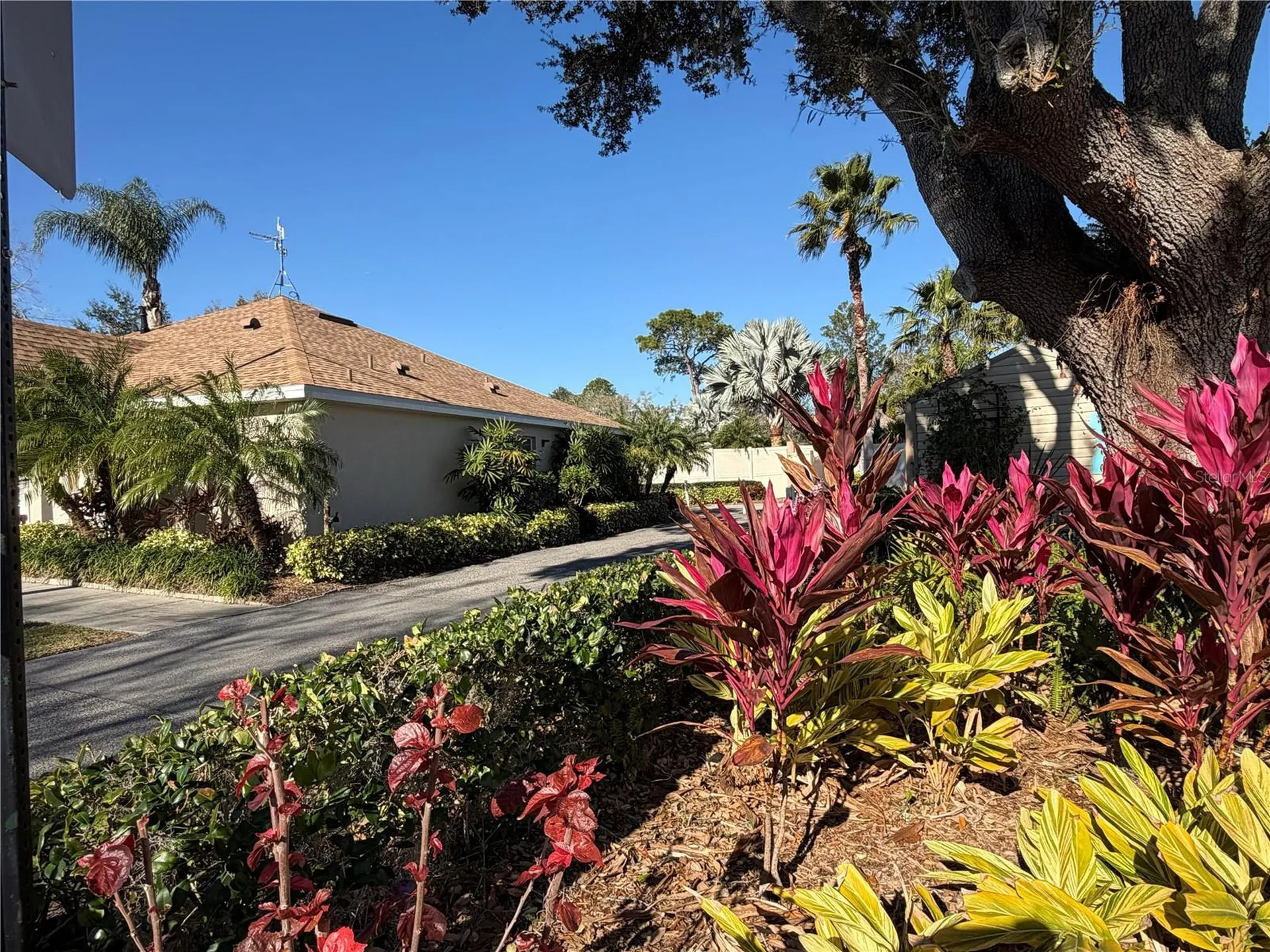 20300 Leonard Road Lutz FL 33558