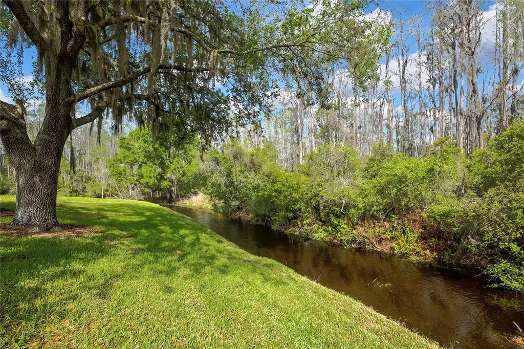 20841 Eustis Road Land O Lakes FL 34637