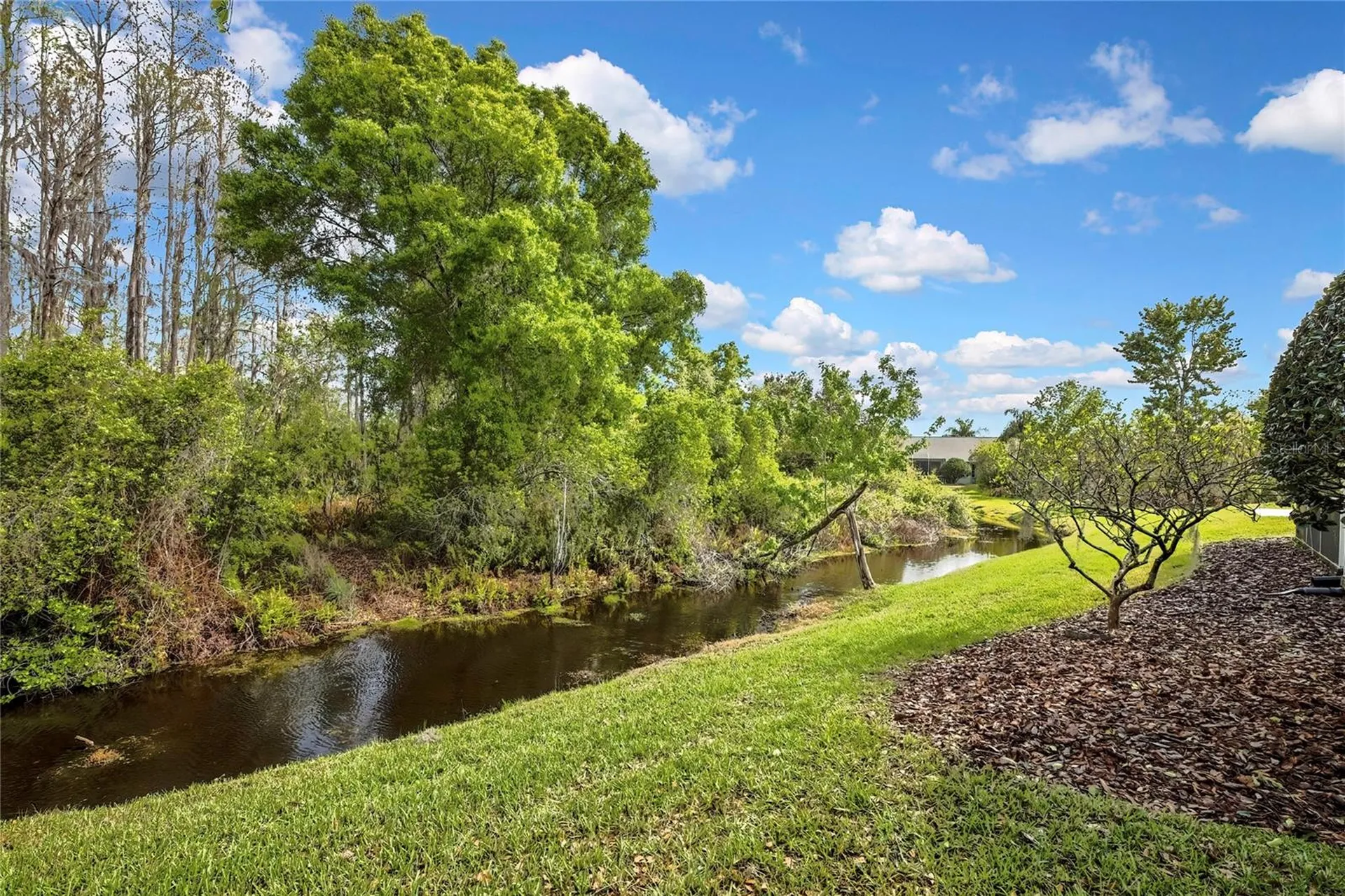20841 Eustis Road Land O Lakes FL 34637