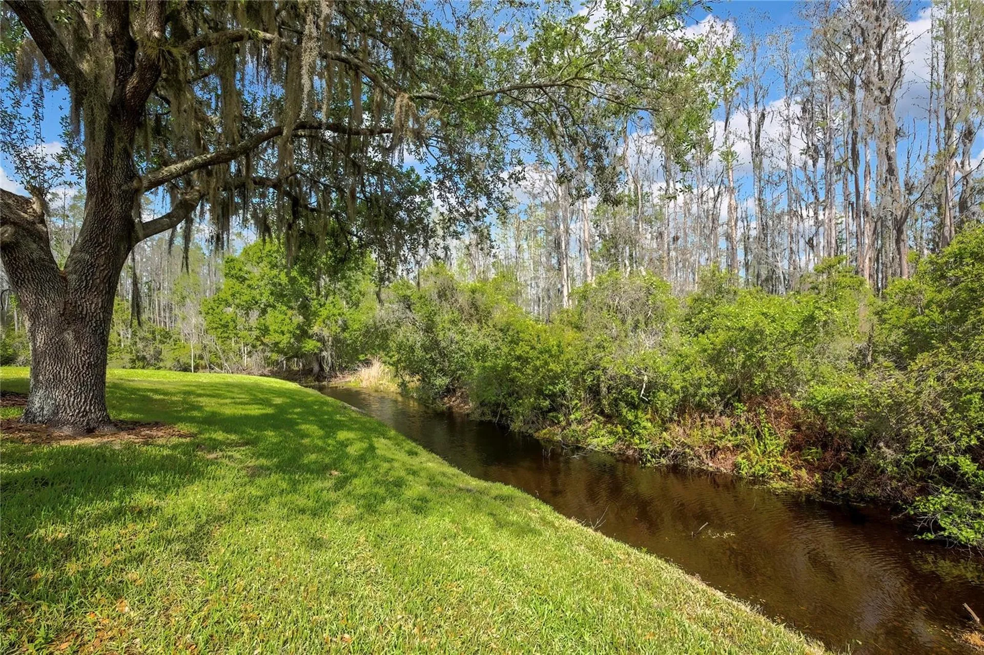 20841 Eustis Road Land O Lakes FL 34637