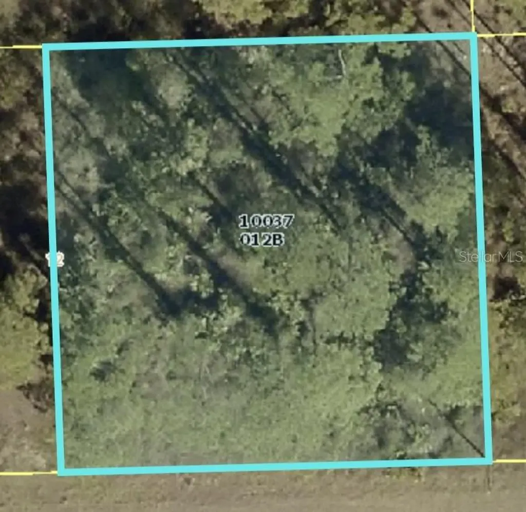 1103 E 11th Street Lehigh Acres FL 33972