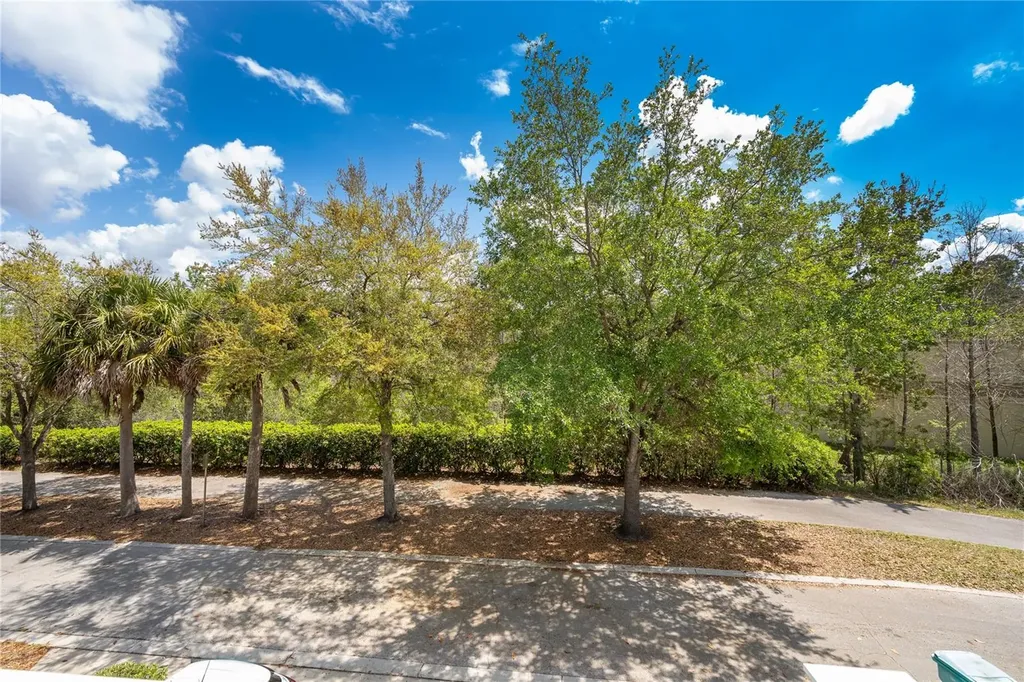 10888 Eclipse Lily Way Orlando FL 32832