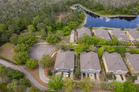 10888 Eclipse Lily Way Orlando FL 32832