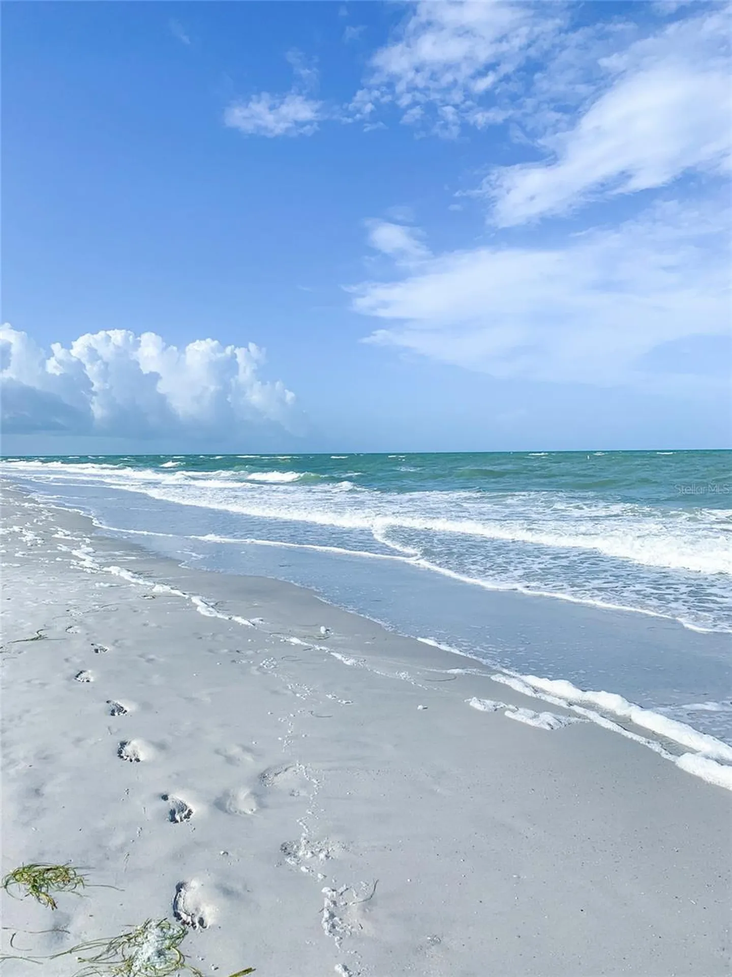 5940 21st Street N St Petersburg FL 33714