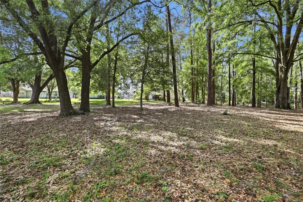 6617 NW 114th Lane Alachua FL 32615