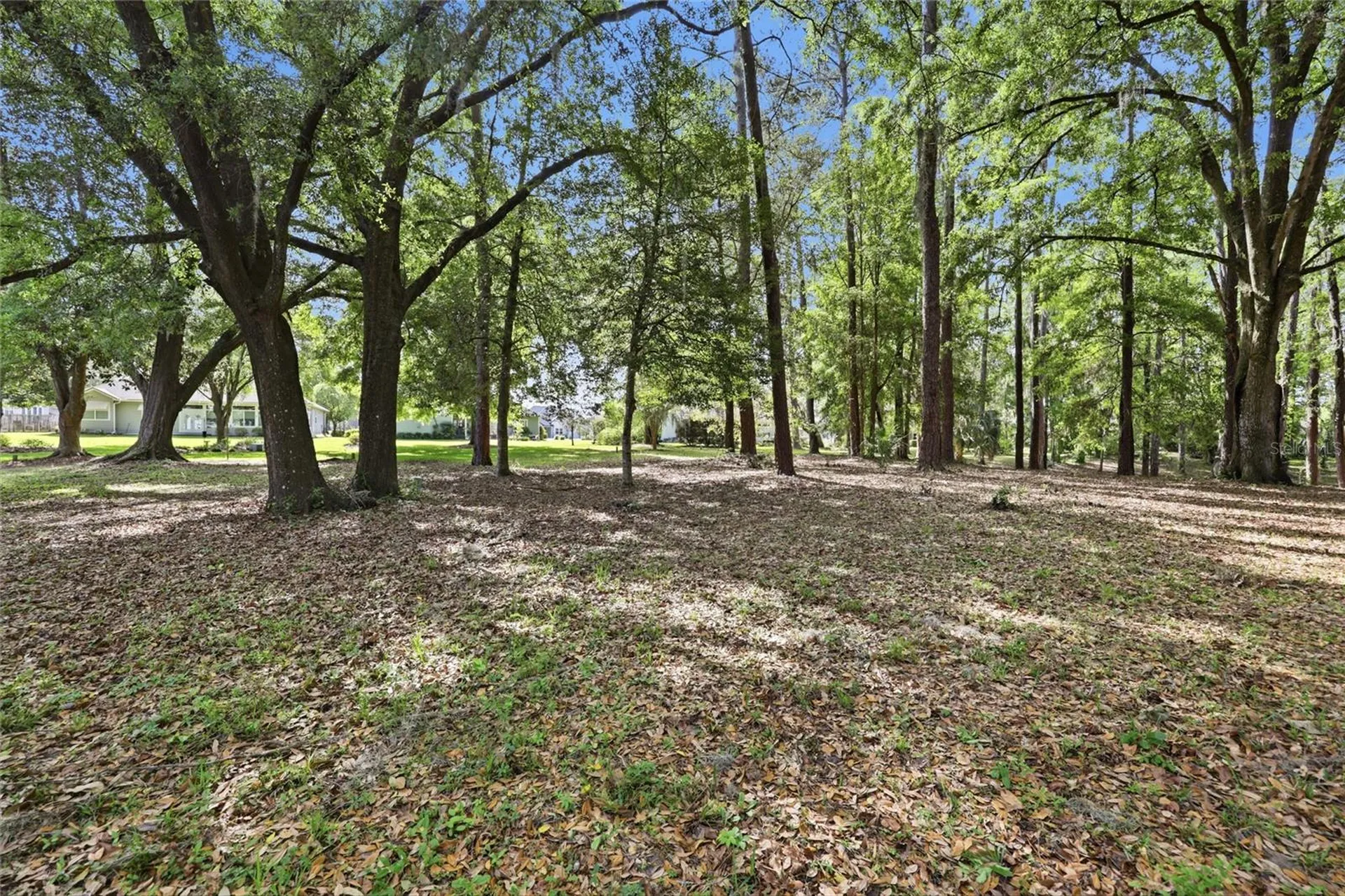 6617 NW 114th Lane Alachua FL 32615