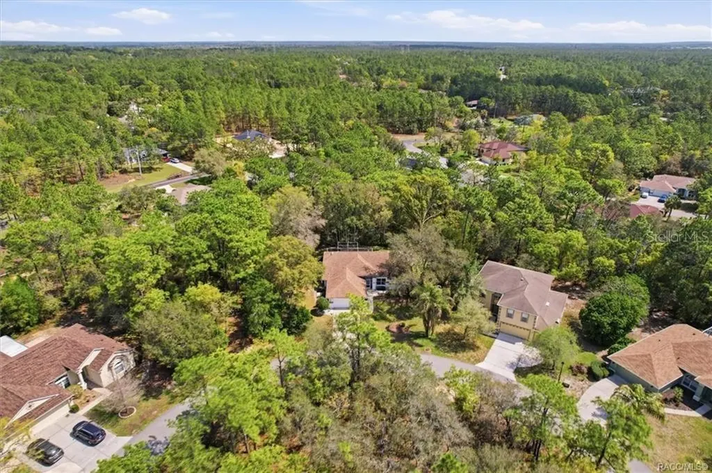 13 Bonnie Court N Homosassa FL 34446