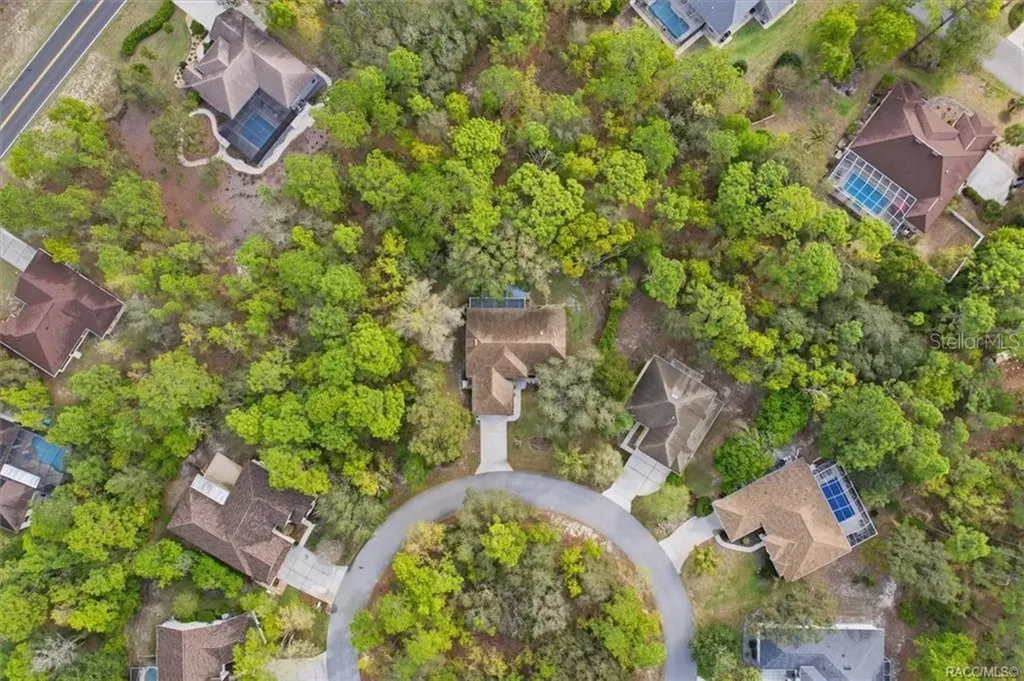 13 Bonnie Court N Homosassa FL 34446