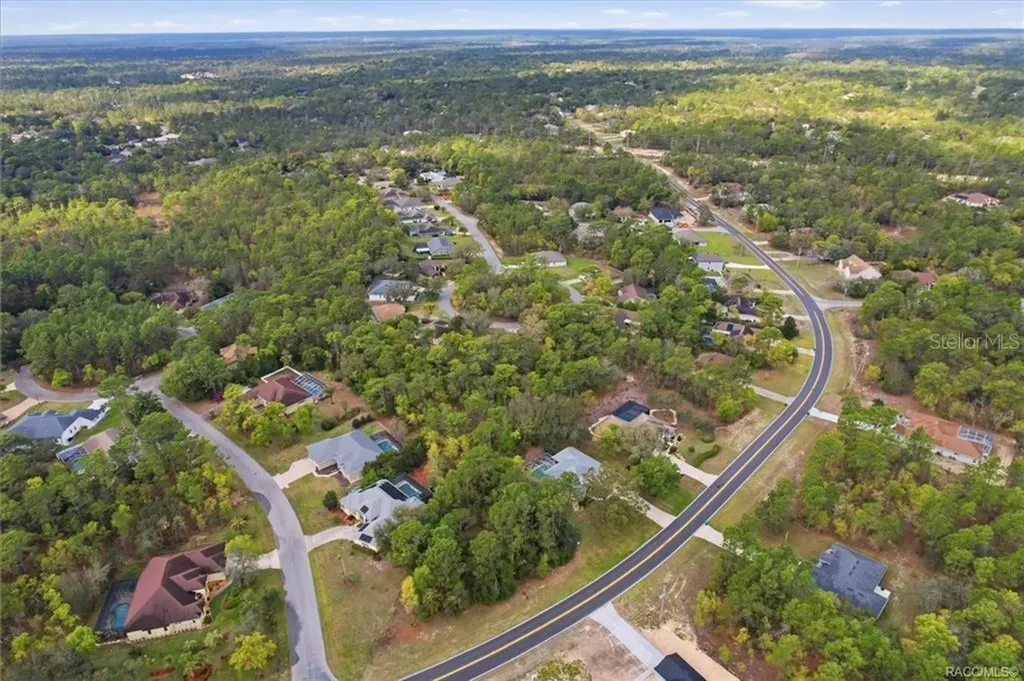13 Bonnie Court N Homosassa FL 34446