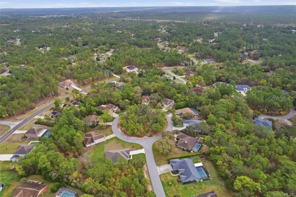 13 Bonnie Court N Homosassa FL 34446