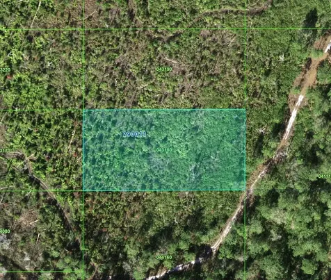 Tiger Road Lake Wales FL 33898