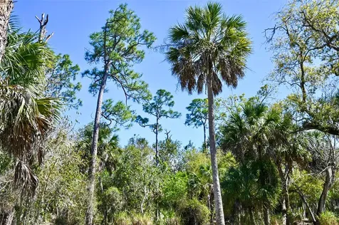 22901 Bayshore Road Punta Gorda FL 33980