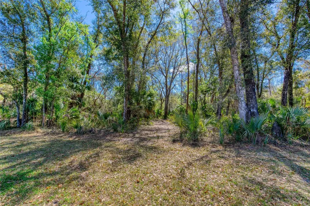 1801 Adrian Creek Boulevard Port Orange FL 32128