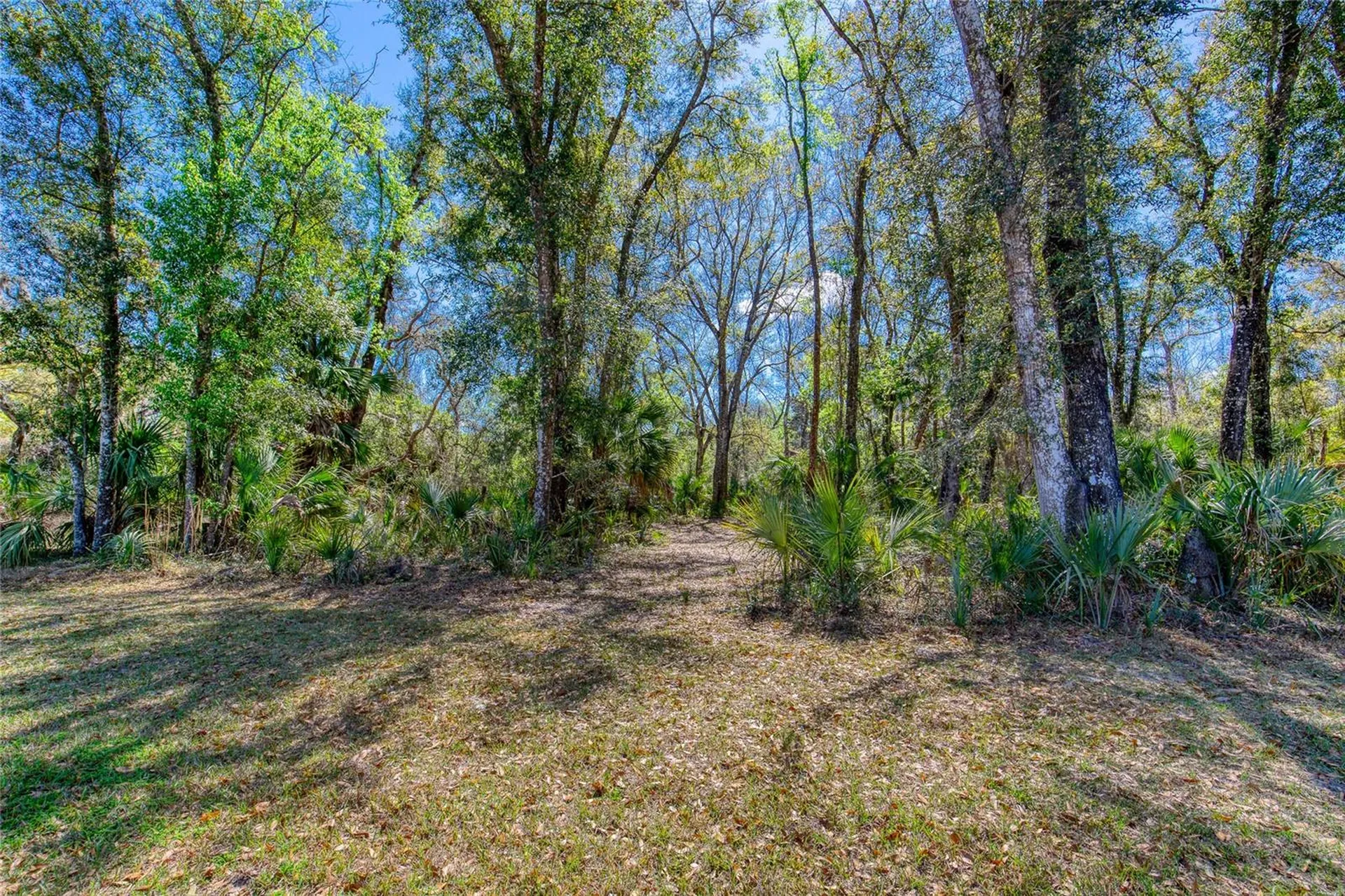 1801 Adrian Creek Boulevard Port Orange FL 32128