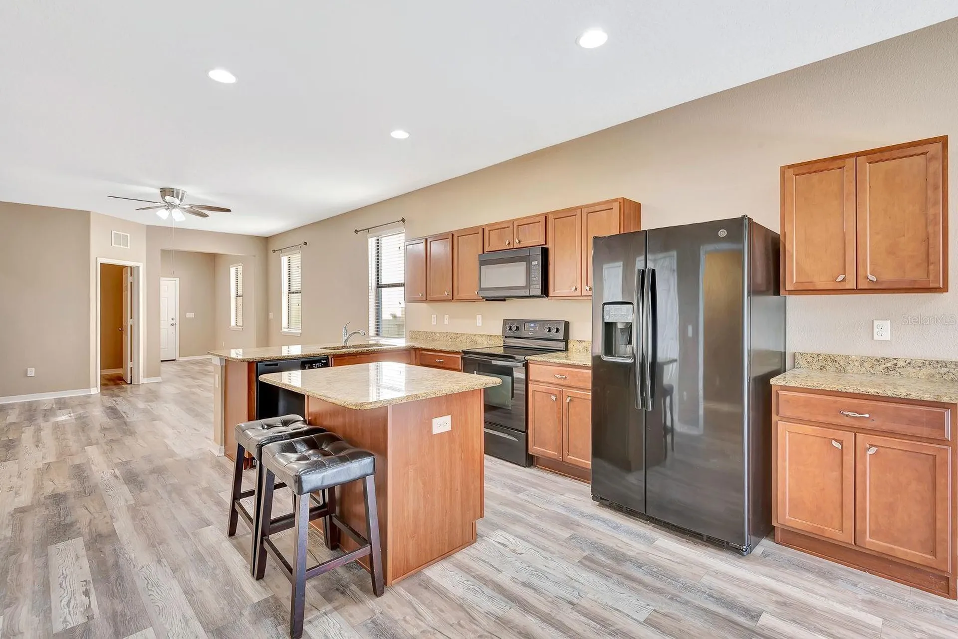 9116 Mountain Camellia Lane Riverview FL 33578