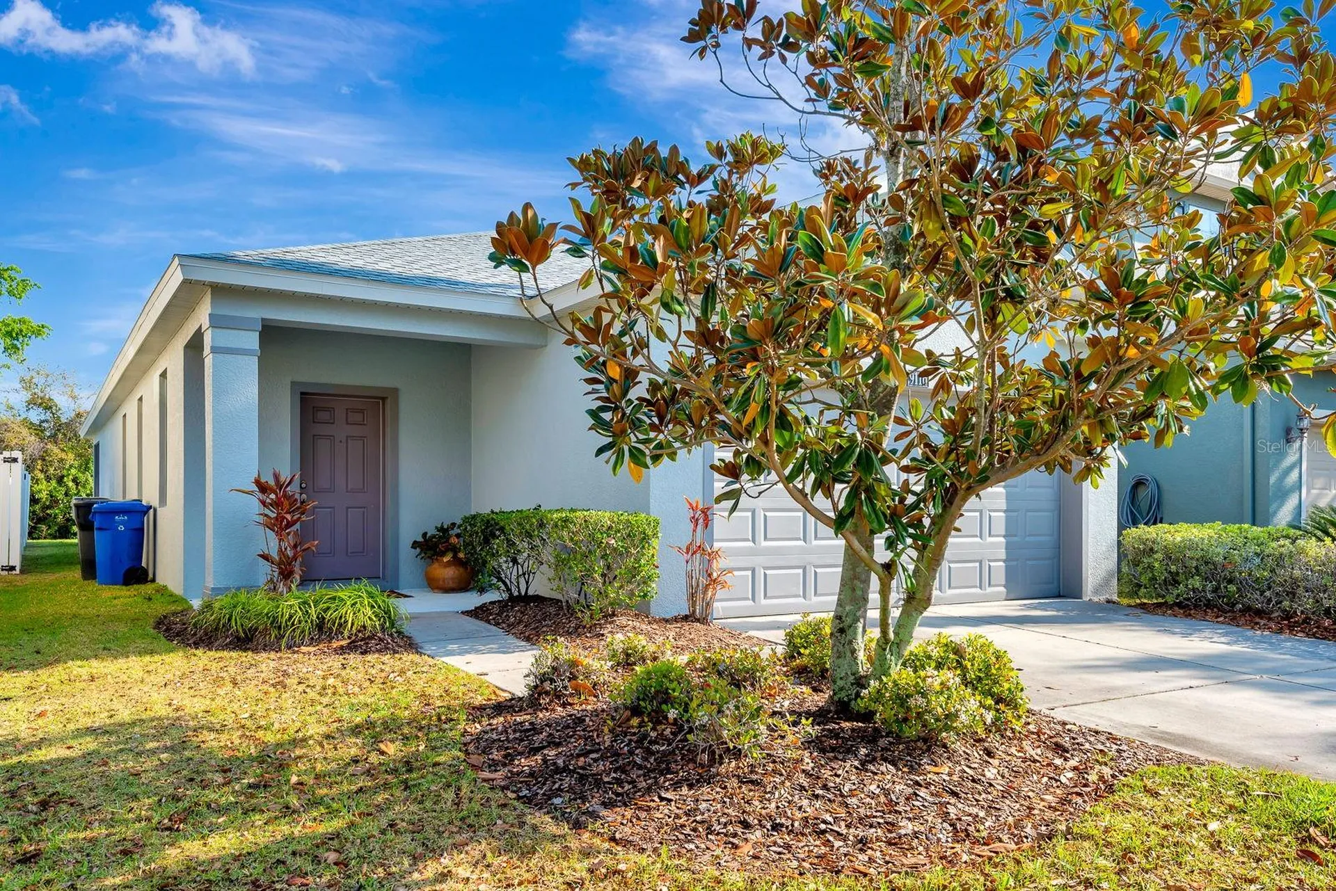 9116 Mountain Camellia Lane Riverview FL 33578