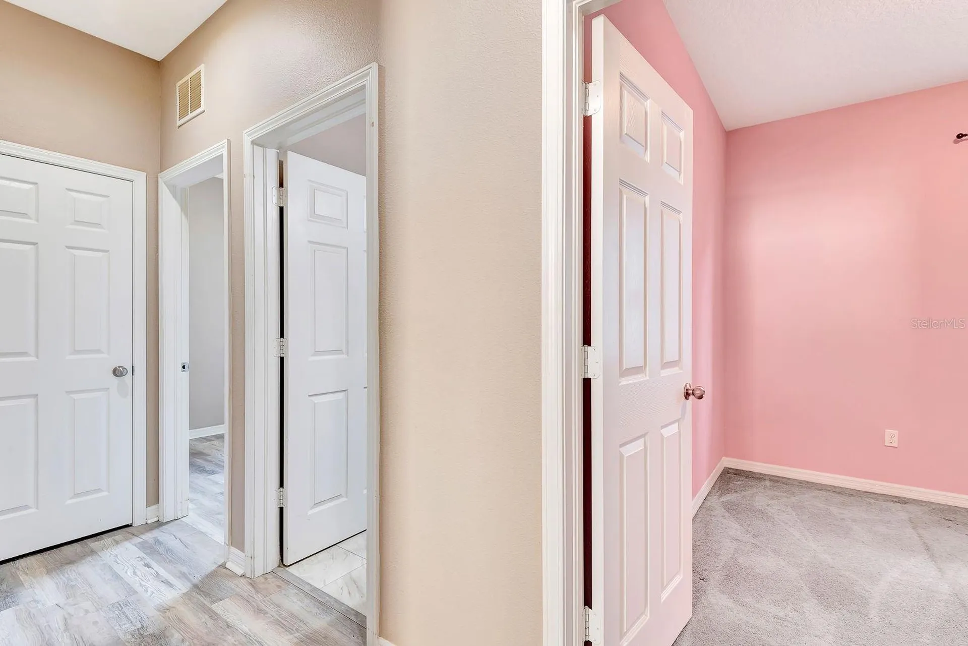 9116 Mountain Camellia Lane Riverview FL 33578