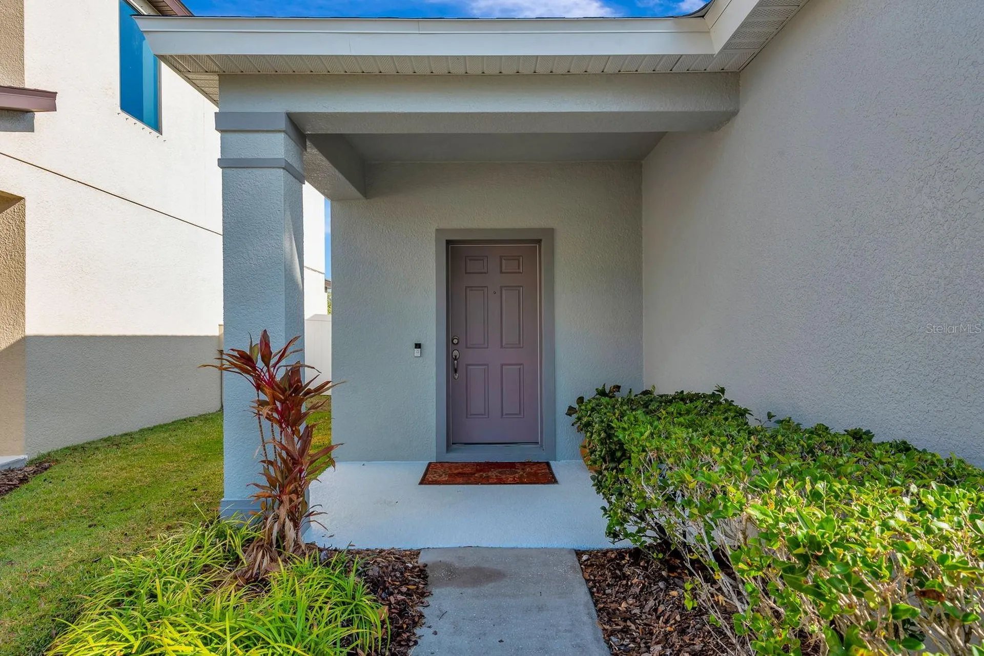 9116 Mountain Camellia Lane Riverview FL 33578
