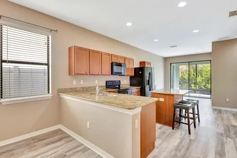 9116 Mountain Camellia Lane Riverview FL 33578