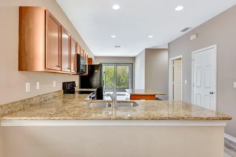 9116 Mountain Camellia Lane Riverview FL 33578