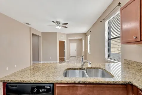 9116 Mountain Camellia Lane Riverview FL 33578