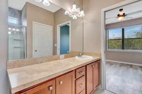 9116 Mountain Camellia Lane Riverview FL 33578